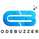 codebuzzers